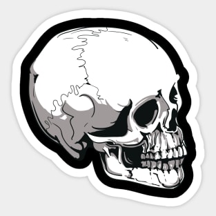 cool skull Sticker